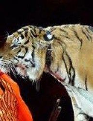 Казанский государственный цирк 