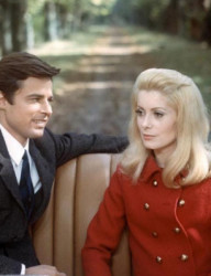 Дневная красавица