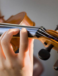 Концерт «Музыкальная коллекция»