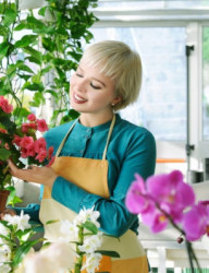 Open Space Market в ангаре «Соли»