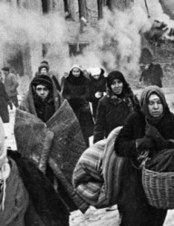 Эхо блокадных лет