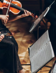 Концерт «Из истории жанра струнного квартета»