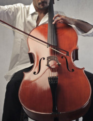 Виолончель от истоков до вершин