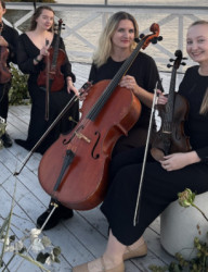 Вечер камерной музыки «Магия струнного квартета»