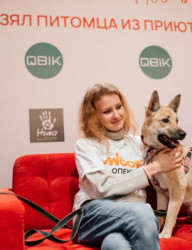 WOOF – фестиваль о тех, кто рядом