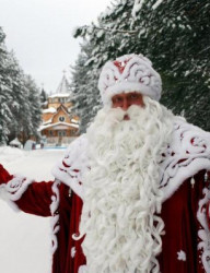 Дед Мороз на Московском рынке