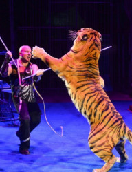 Экстрим-шоу «Одержимые»