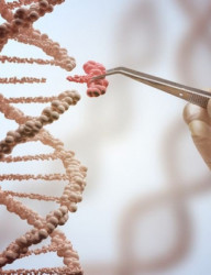 Лекция «Генная терапия: новые горизонты медицины»