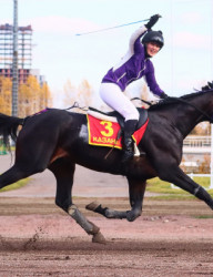 Открытие скакового сезона 2026 года