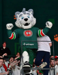 Прямая трансляция матча «Ак Барс»