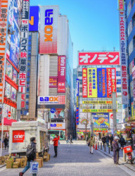 Мастер-класс по Японской языку в Музее Мазитова