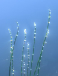 Выставка Андрея Артиса «Современный пикториальный пейзаж»