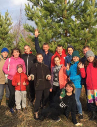 Посадка деревьев