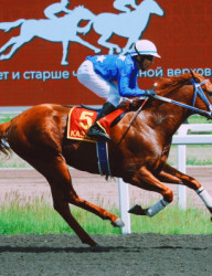  Бега на Казанском ипподроме