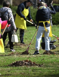 Городской субботник