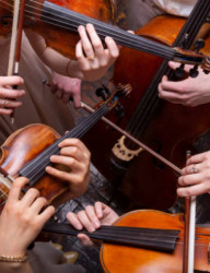 Концертно-просветительский проект «Музыка — целительный дар человечеству»