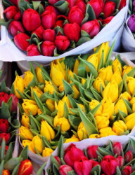 Праздничный концерт «Есть в марте день особый»