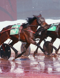  Бега на Казанском ипподроме