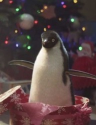 Приключения пингвинёнка Пинка