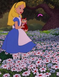 Страна чудес Алисы