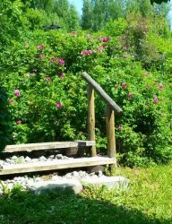 Ботанический сад КФУ