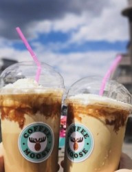 Кофейня "COFFEE MOOSE"