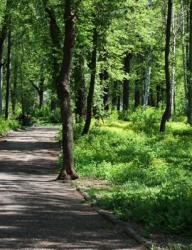 Парк "Сосновая роща" (Парк ДК Химиков)