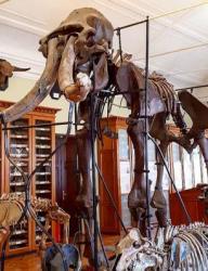 Геологический музей имени Штукенберга