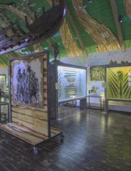 Музей оружия «Дух воина»