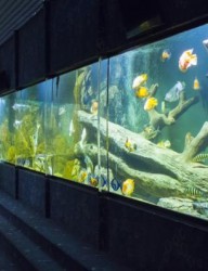 Казанский океанариум