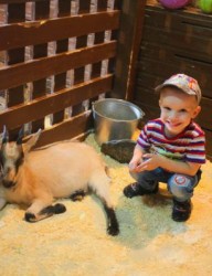 Удивительный зоопарк