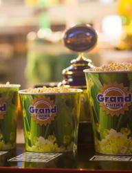 Кинотеатр "Grand Cinema"