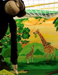 Детский игровой парк \"Джунгли\"