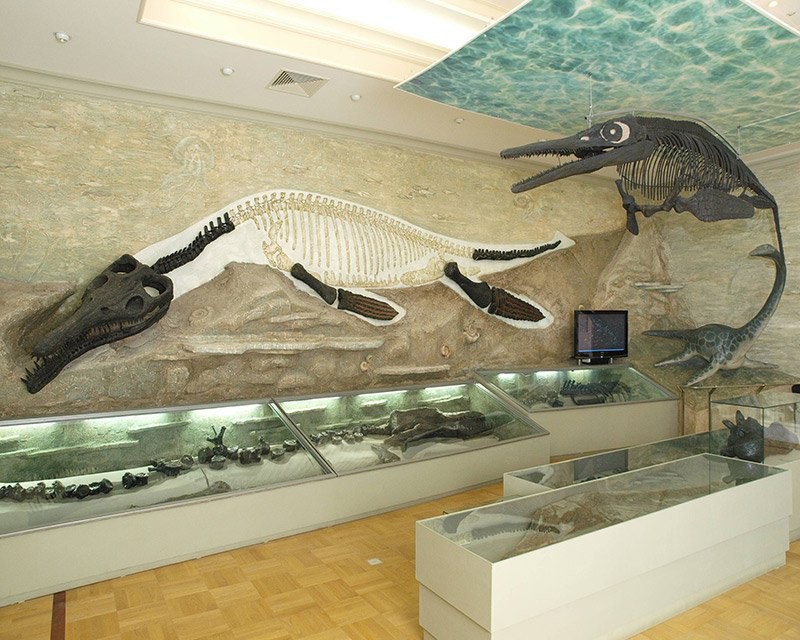 Казань музей естественной истории