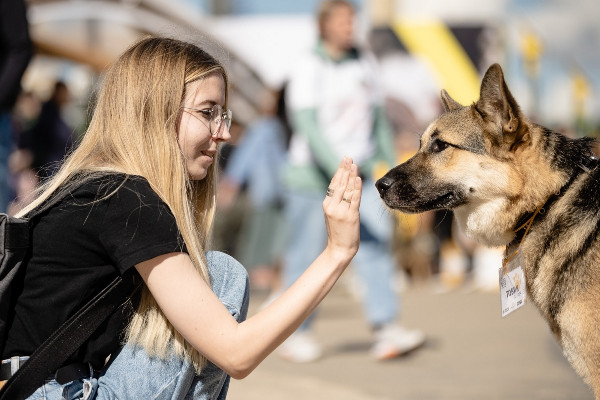 Dog Fest в МЕГЕ