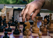 Шахматный турнир в парке «Черное озеро»