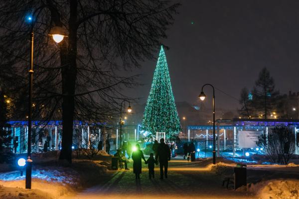 Новогодний спектакль-променад Собаки О