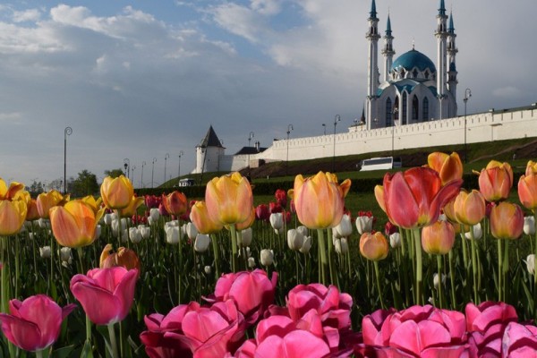 Международный день семьи в Музее исламской культуры 