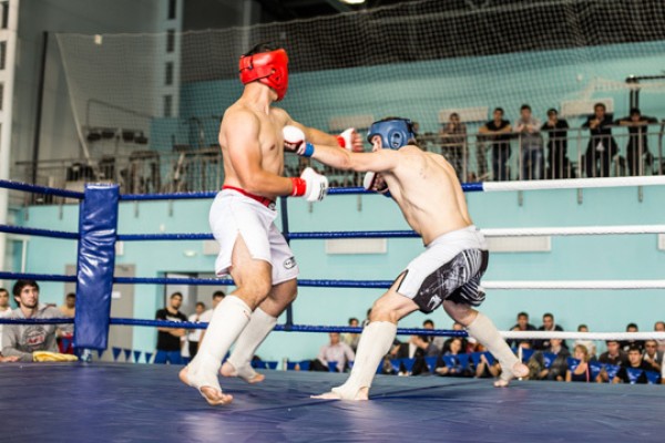 Межрегиональный турнир по смешанному боевому единоборству (MMA)