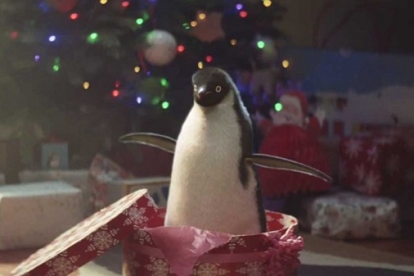 Приключения пингвинёнка Пинка