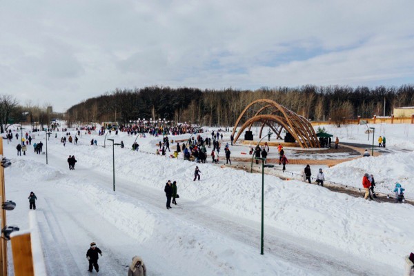 23 февраля в Горкинско-Ометьевском лесу