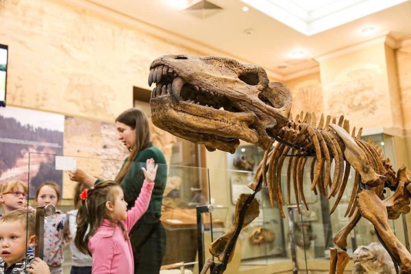 От архея до музея… Палеонтологическая экскурсия
