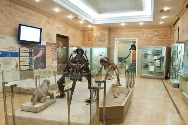 Школа юного палеонтолога. Интерактивное занятие