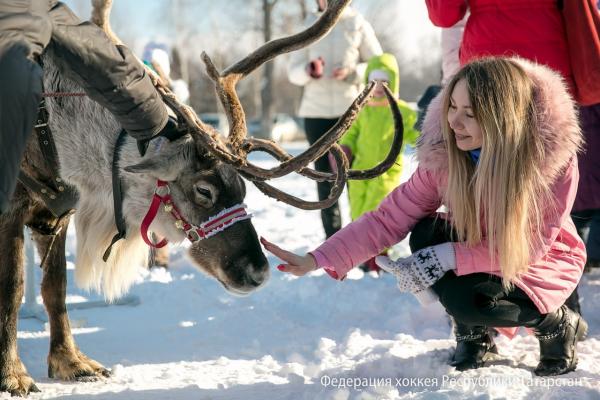 День защитника Отечества в Горкинско-Ометьевском лесу