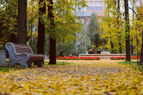 Пешеходна экскурсия «Золотая осень в парках Казани»